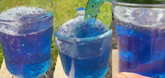 Homemade Hydration Drink: Coconut Water, Blue Spirulina & Chia Seeds