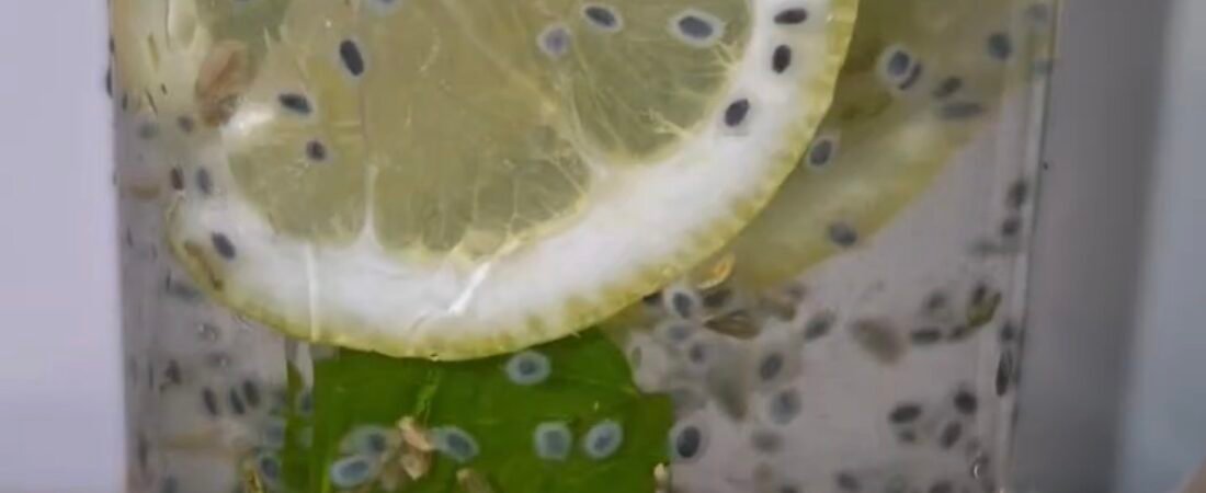 Lemon De-Bloat Water with Basil Seeds, Fennel + Lemon Balm