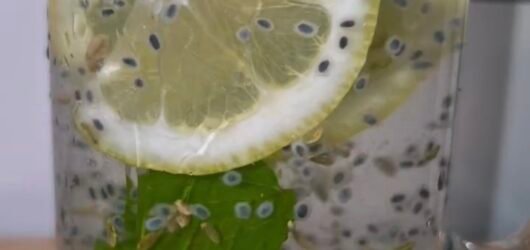 Lemon De-Bloat Water with Basil Seeds, Fennel + Lemon Balm