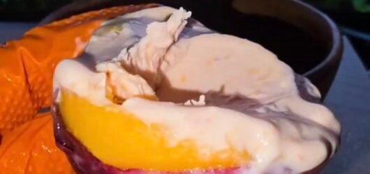 2-Ingredient Peach Ice Cream (No Ice Cream Maker)